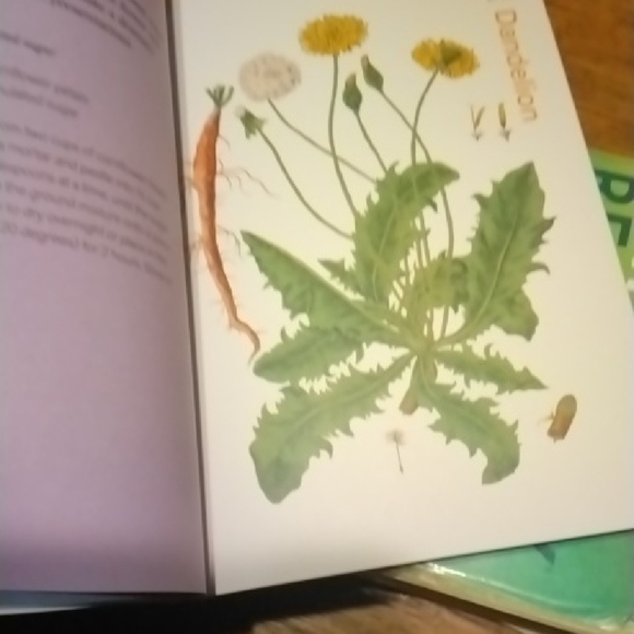Herbal Handbook with Floral Cover - Picture 4 of 4